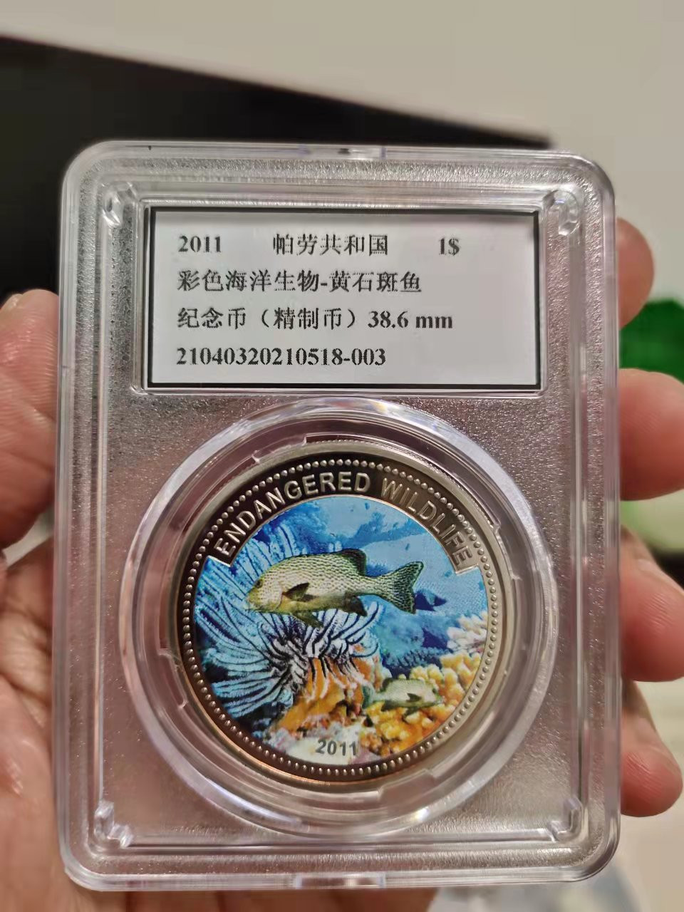 古币、纪念币、纸币 2011年帕劳彩色海洋生物纪念币-黄石斑鱼，直径38.6MM，克朗型纪念币