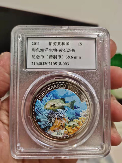 古币、纪念币、纸币 - 2011年帕劳彩色海洋生物纪念币-黄石斑鱼，直径38.6MM，克朗型纪念币