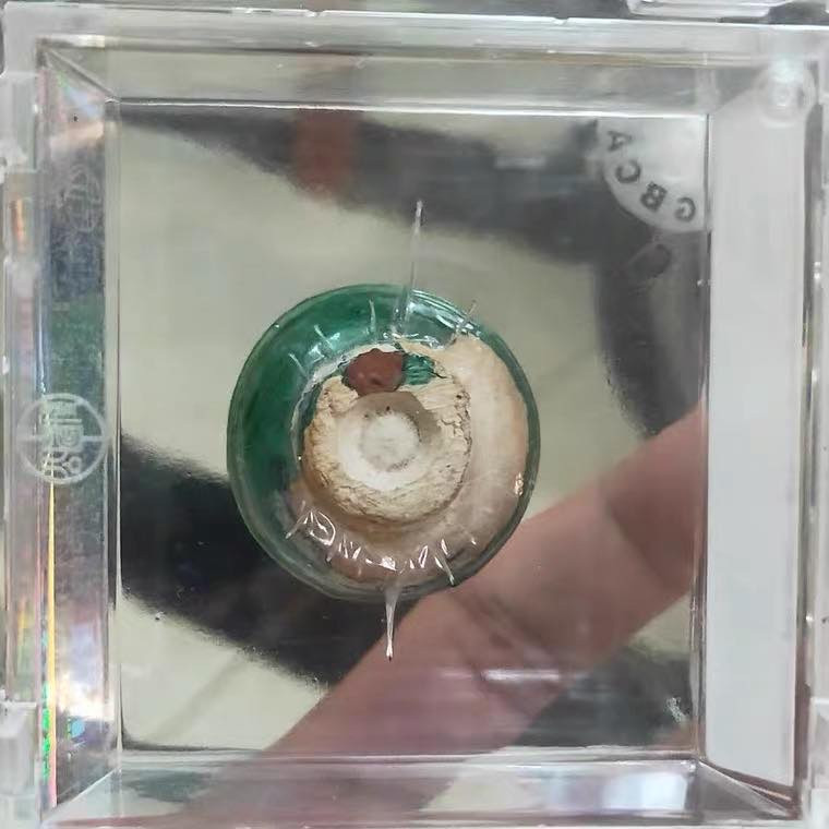 精品公博鉴定收藏 明代绿釉陶盅瓷盅瓷杯 釉色少见 80分公博评级币 三包老保真品