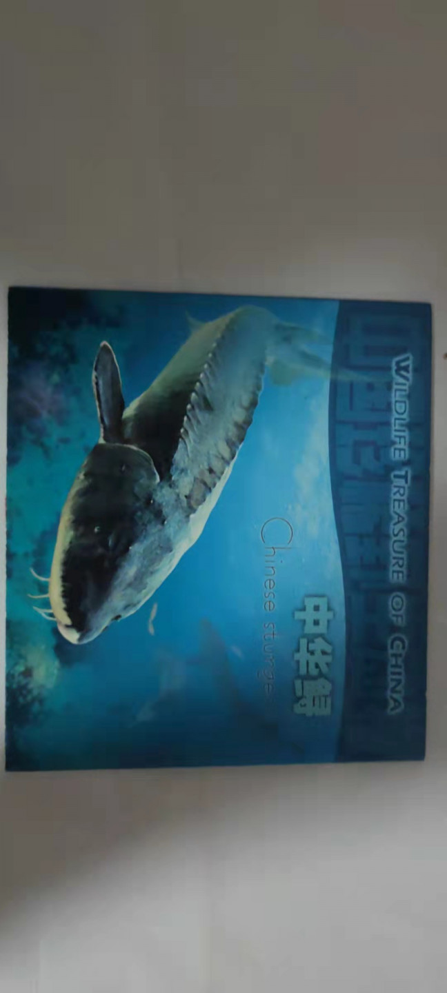 一米收藏，开心上拍(第二十九场) 康银阁装帧(中华鲟)野生动物纪念币