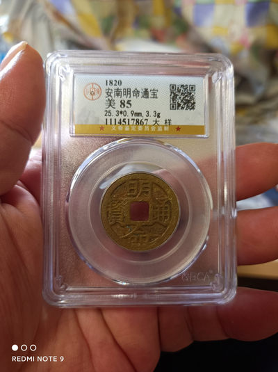 天海评级钱币 - 安南明命通宝大样