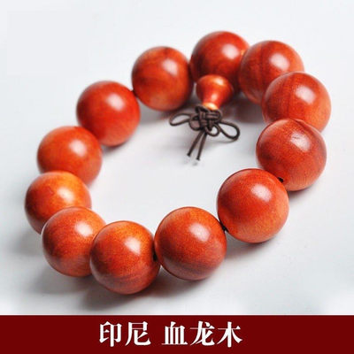 印尼血龙木 - 印尼血龙木