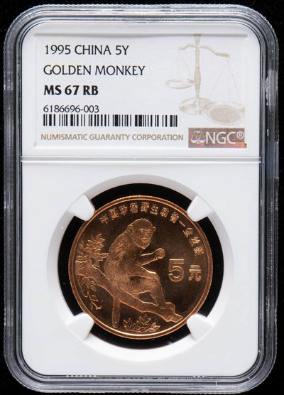 1995年中国珍稀野生动物-金丝猴流通纪念币一枚  (NGC MS67RB) - 1995年中国珍稀野生动物-金丝猴流通纪念币一枚  (NGC MS67RB)