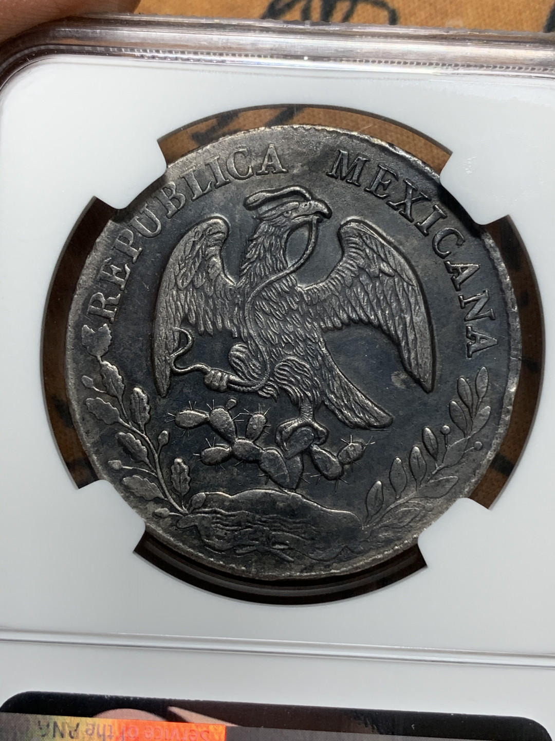 《竞宝斋》钱币微拍-第13场-本周日，周一2场连拍（全场顺丰包邮） NGC-AUD 墨西哥 1874年 8 里亚尔  埃西莫约厂银币黑彩HO厂老鹰 好版别老鹰