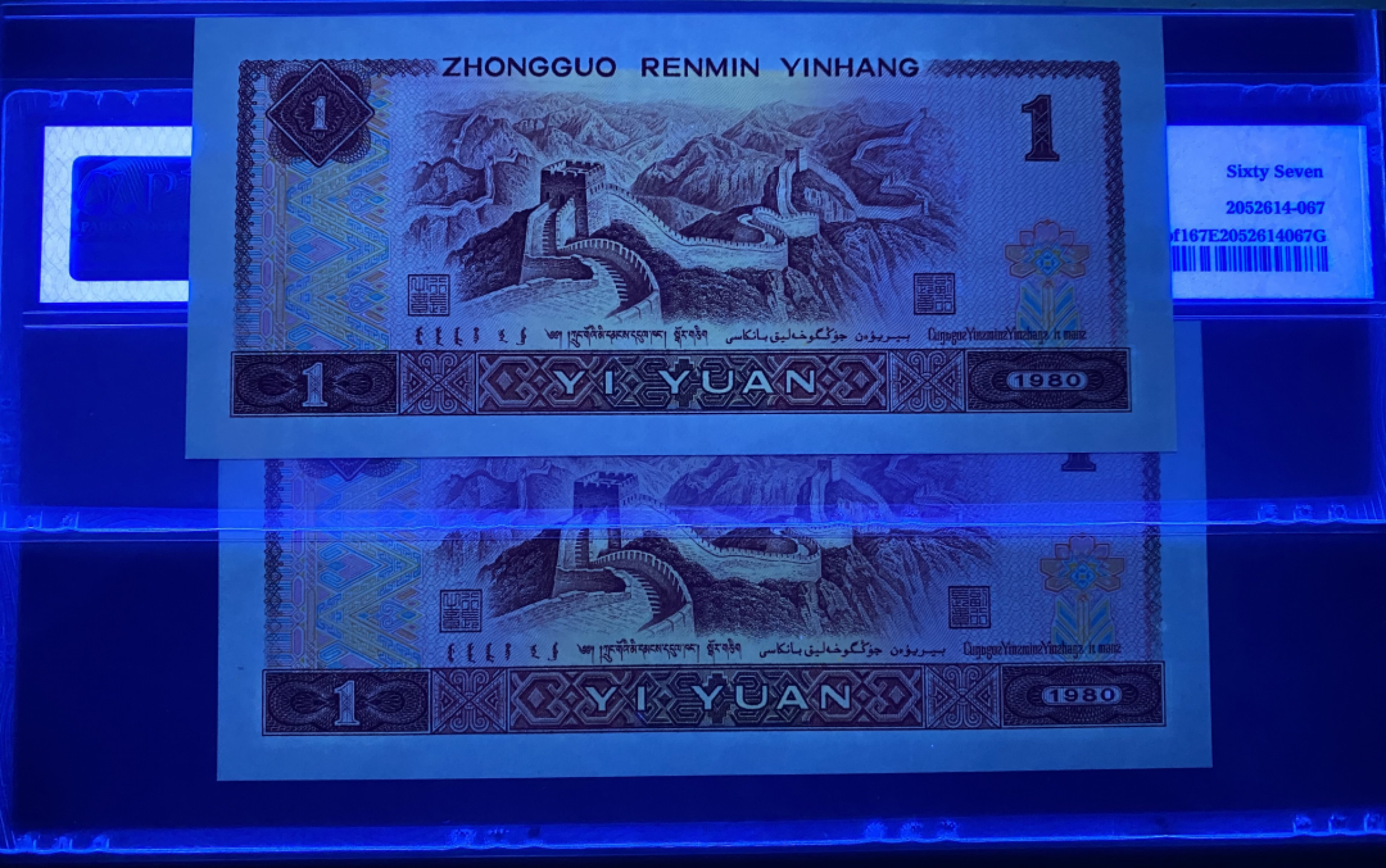 大黄蜂拍卖第27期 801红金龙稀冠TA68912183，185，2连号，67分