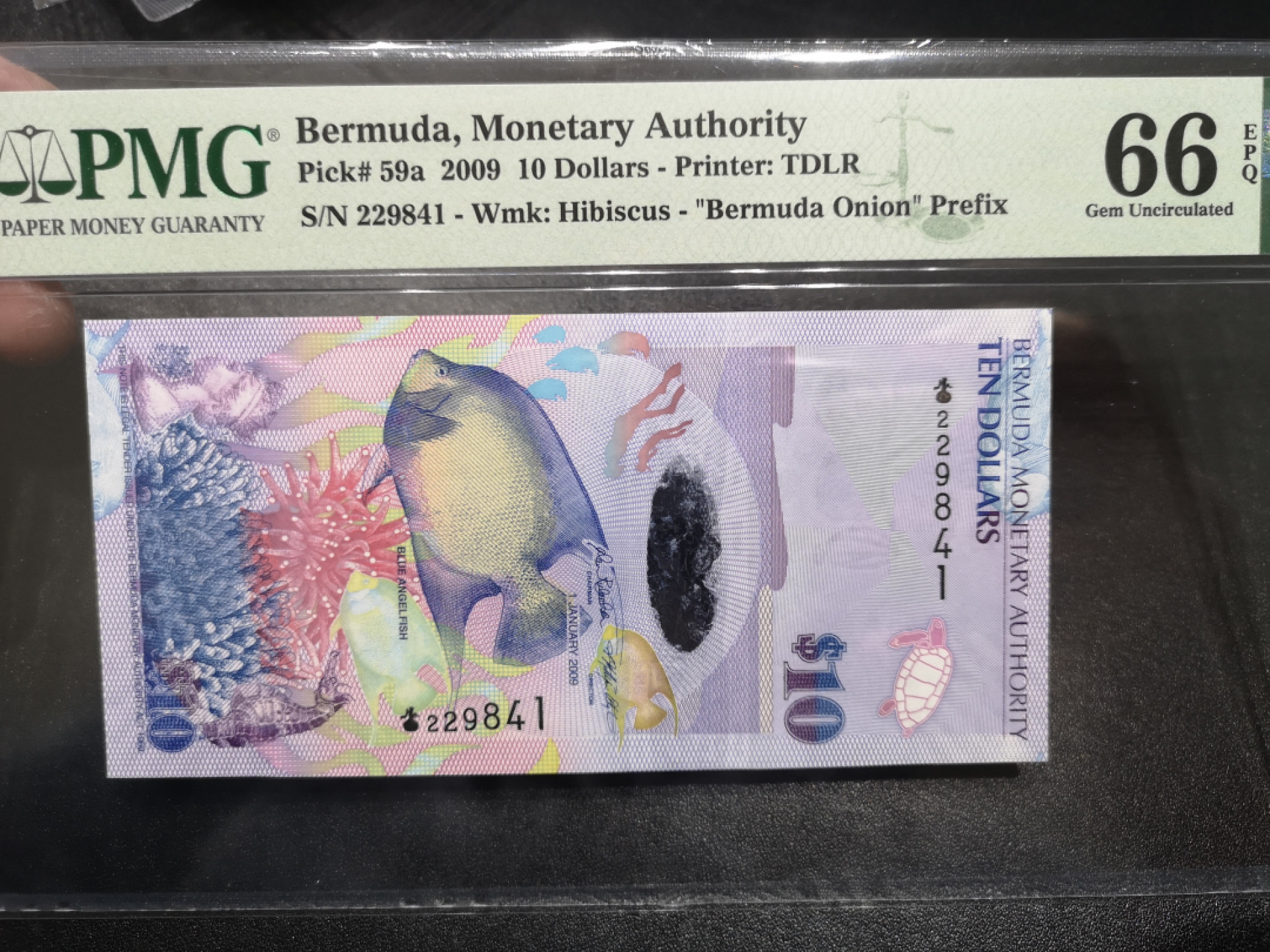 《外钞收藏家》第一百四十六期拍卖-超百件大拍场（本期106件） 2009年百慕大10刀 PMG66 洋葱冠
