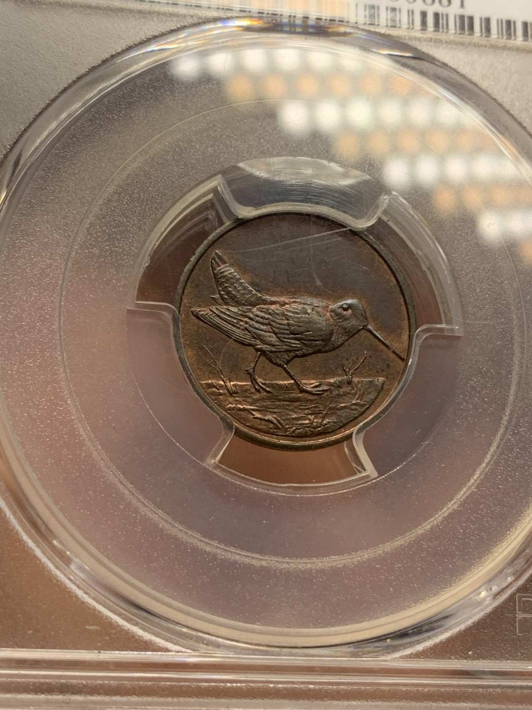 《竞宝斋》钱币微拍-第14场-本周日，周一2场连拍（全场顺丰包邮） PCGS-MS63  伊森堡小鸟赫勒铜代币 1880年前后 德国  （PCGS唯一冠军分）（铜光，稀少地名）克劳斯珍惜目录币