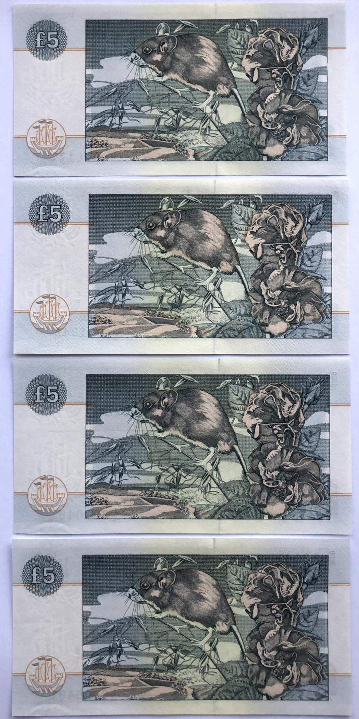 2025第25场（总第225期）：精品测试钞、纪念钞、塑料钞、连体钞综合场 苏格兰“诗人彭斯逝世200周年”5镑纪念钞一套四枚UNC（四首诗）