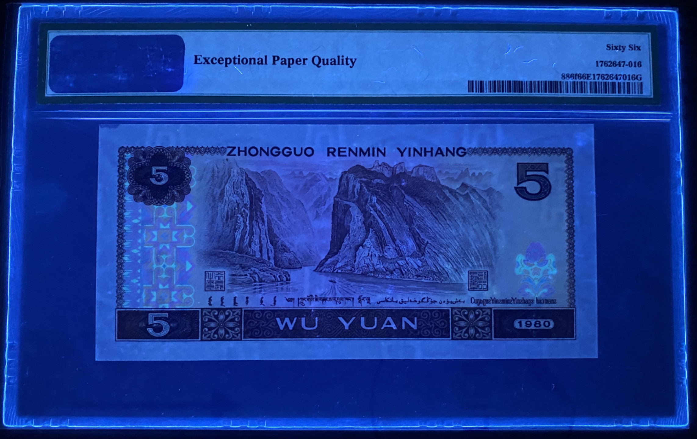 大黄蜂拍卖第28期 805苍松翠鹤ES29692616，66分