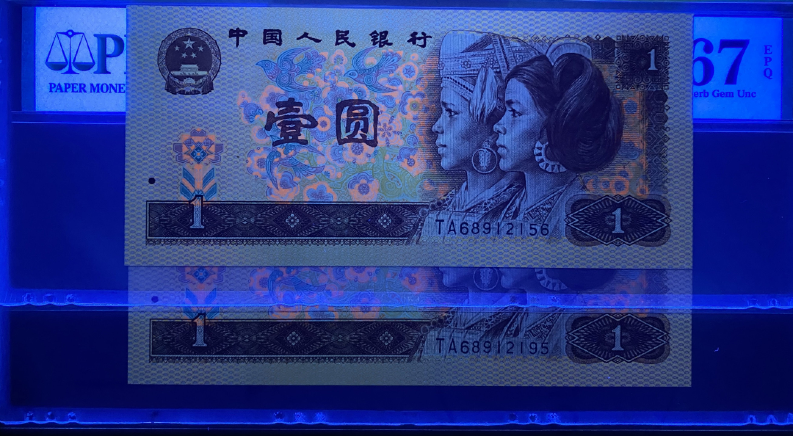 大黄蜂群拍卖第29期 801红金龙稀冠TA68912156，195，2张67分