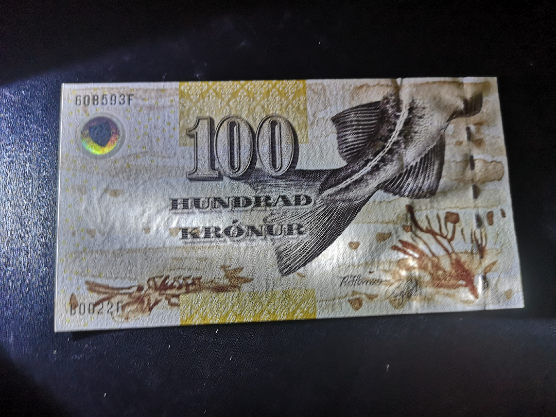 《外钞收藏家》第一百四十七期拍卖连拍第一场（98件） 法罗群岛100克朗 初版 全新UNC