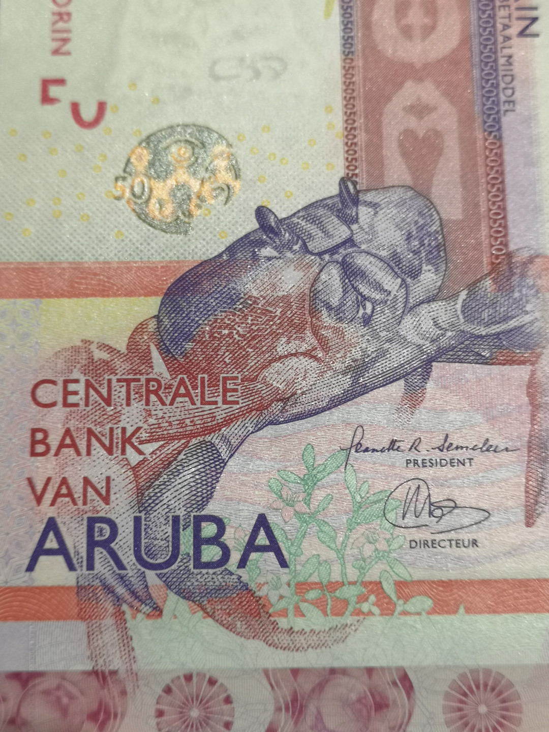 《外钞收藏家》第一百四十七期拍卖连拍第一场（98件） 2019年阿鲁巴50 A冠 全新UNC