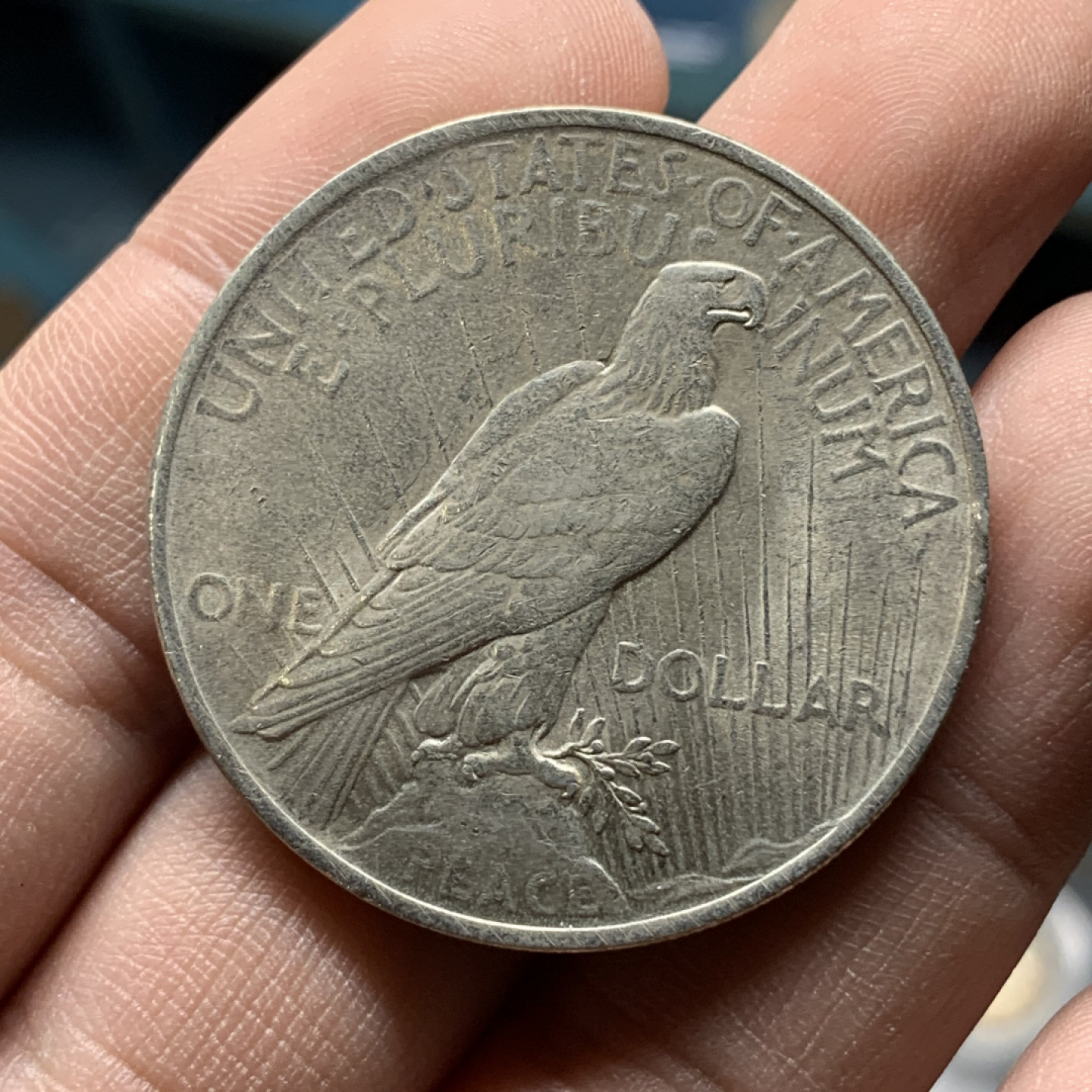 《竞宝斋》钱币微拍-第15场-本周日，周一2场连拍（全场顺丰包邮） 美国 1923年 和平 美元 大银币 状态不错 值得拥有