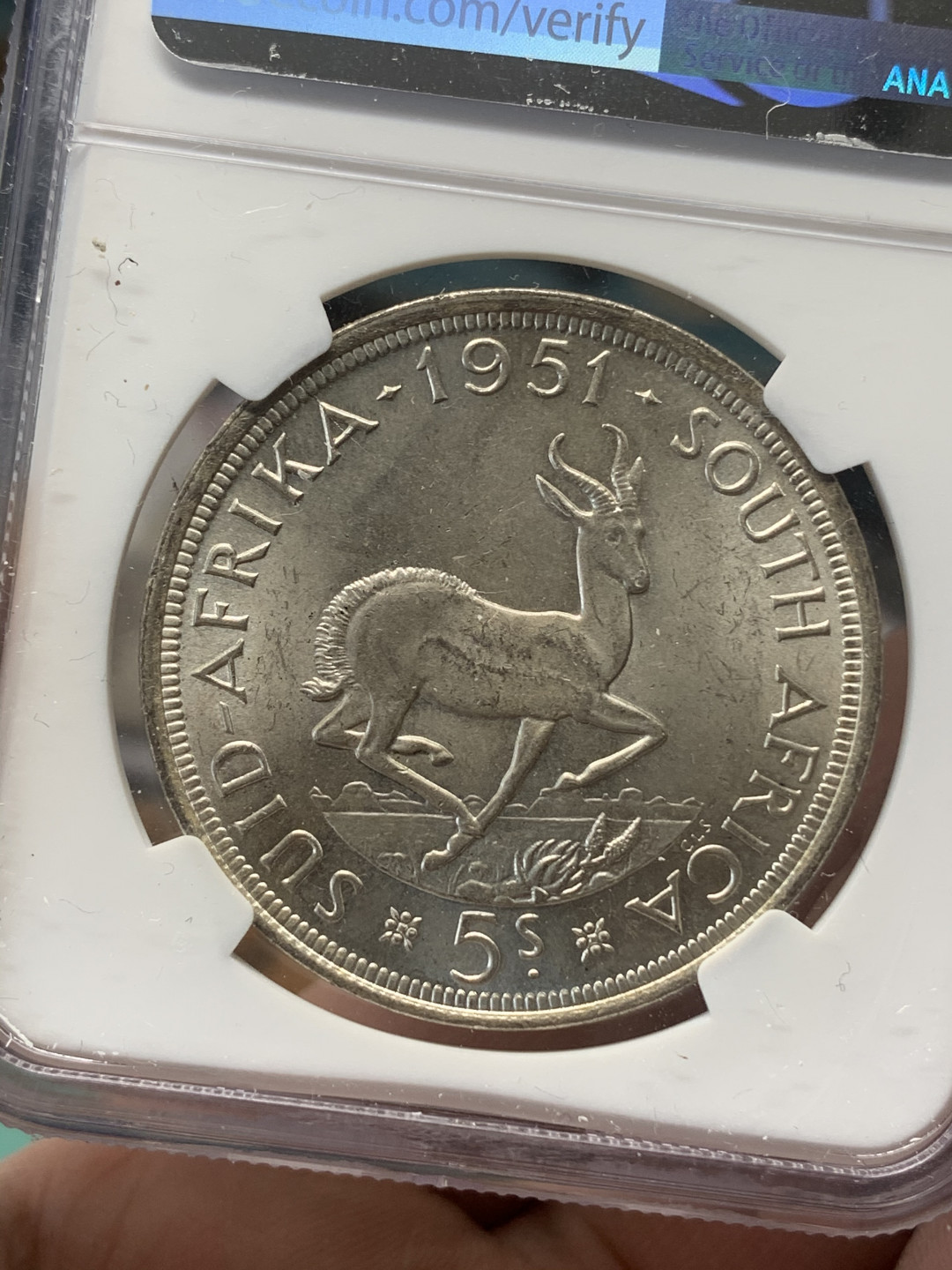 《竞宝斋》钱币微拍-第15场-本周日，周一2场连拍（全场顺丰包邮） NGC-MS62 南非 1951年 乔六 5先令羚羊 大银币 粉光好状态