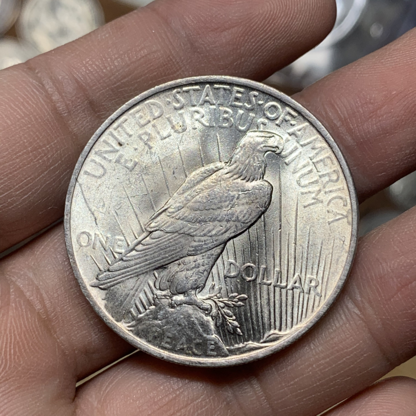 《竞宝斋》钱币微拍-第16场-本周日，周一2场连拍（全场顺丰包邮） 原光 美国 1923 年 和平 美元大银币