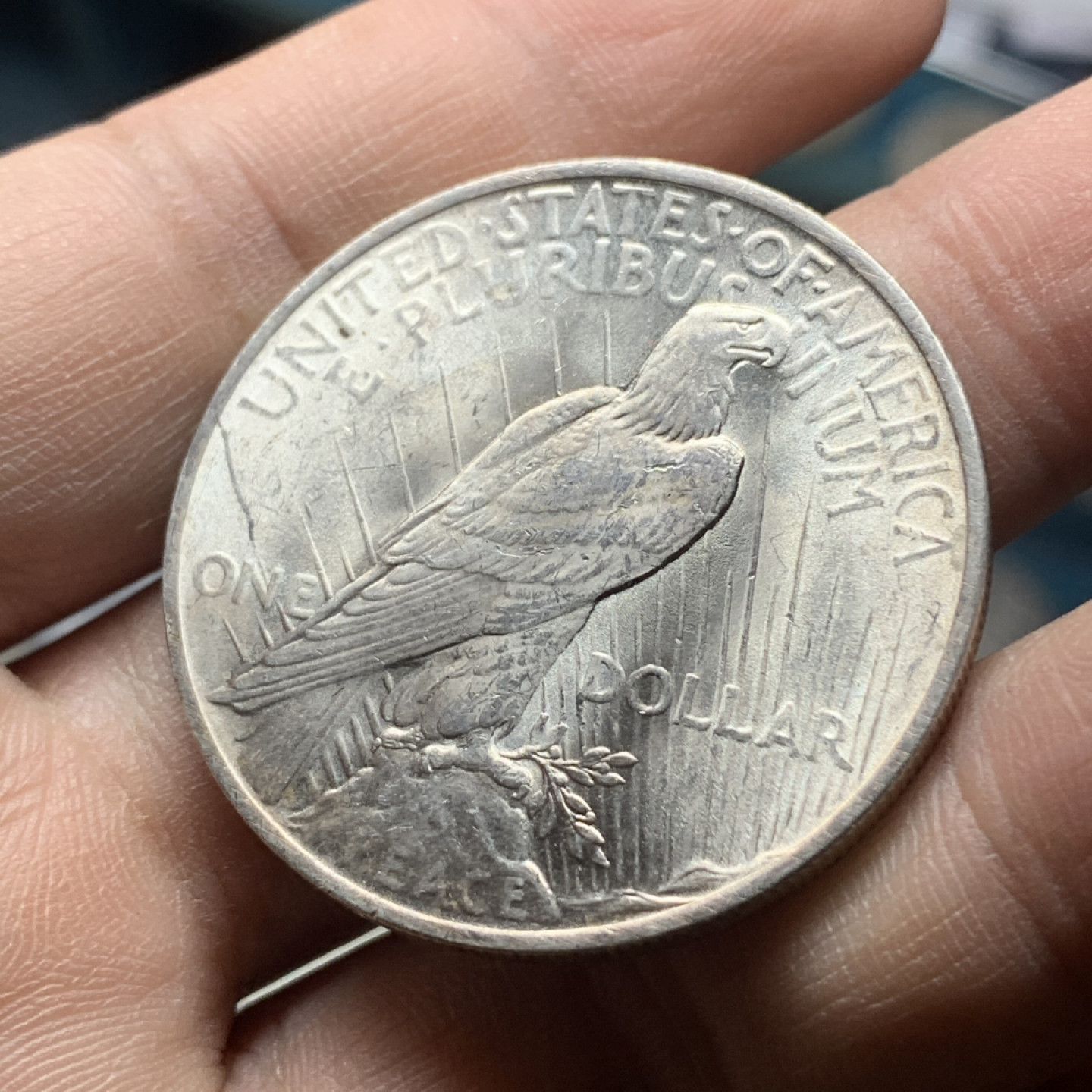 《竞宝斋》钱币微拍-第16场-本周日，周一2场连拍（全场顺丰包邮） 原光 美国 1923 年 和平 美元大银币