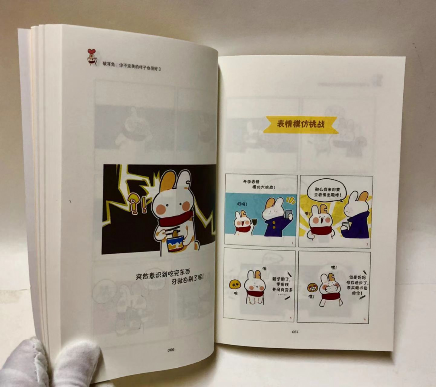 零元拍：麦克洛克 亲笔签名绘著《破耳兔：你不完美的样子也很好》