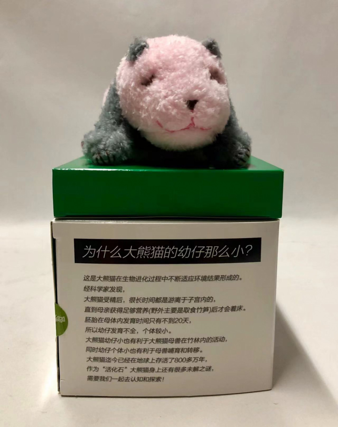零元拍：丫丫终于回家啦，特别奉献歪歪老师为迎接丫丫回家创作亲笔签名绘画《欢迎丫丫回家》，拍中还赠送中国大熊猫保护研究中心指定文创：20天龄熊猫幼崽 毛绒公仔一只哦，全新无拆。