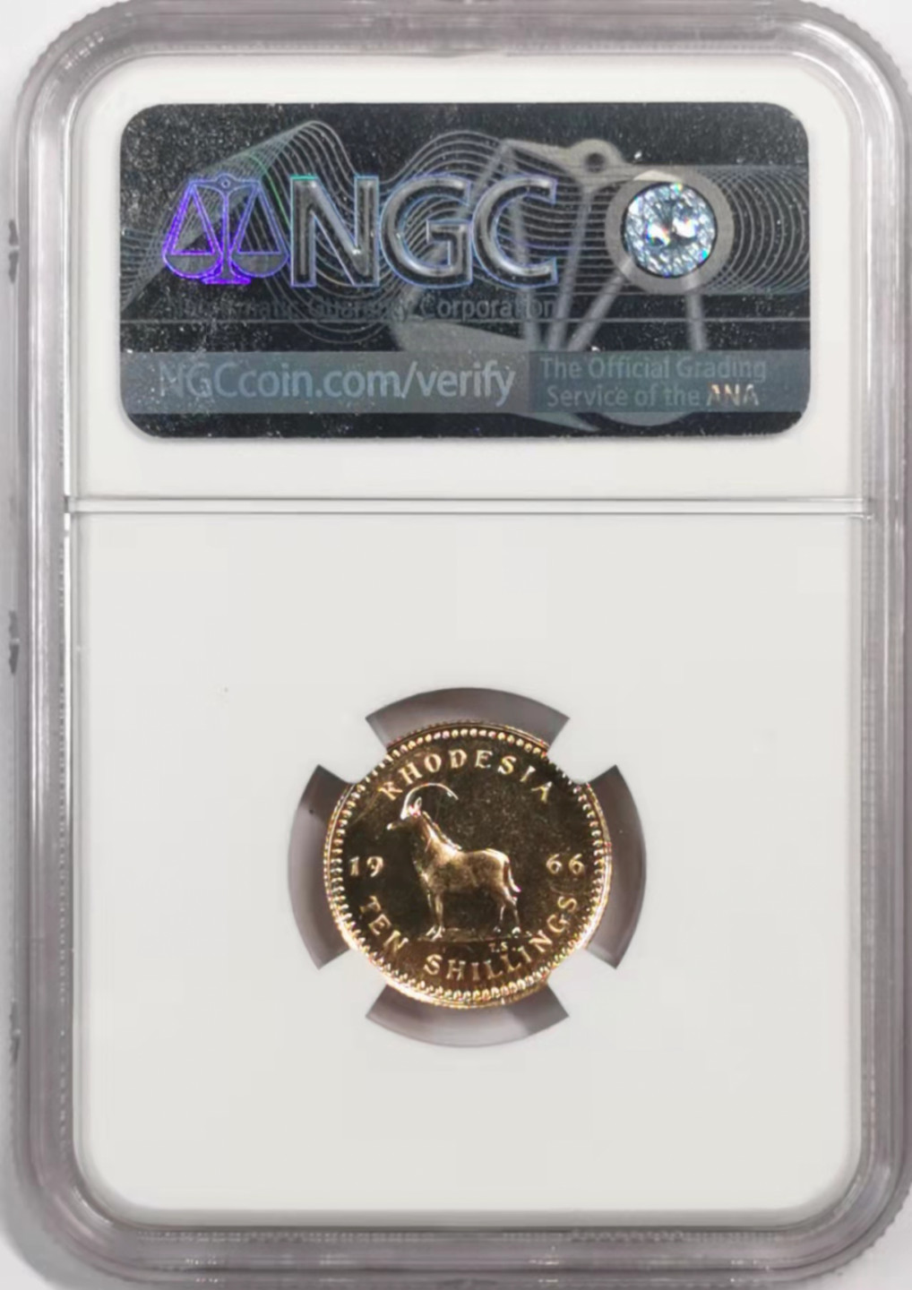 凡希社世界钱币微拍第一百七十九期 荐！1966英属罗德西亚10先令金币NGC-PF67稀少！