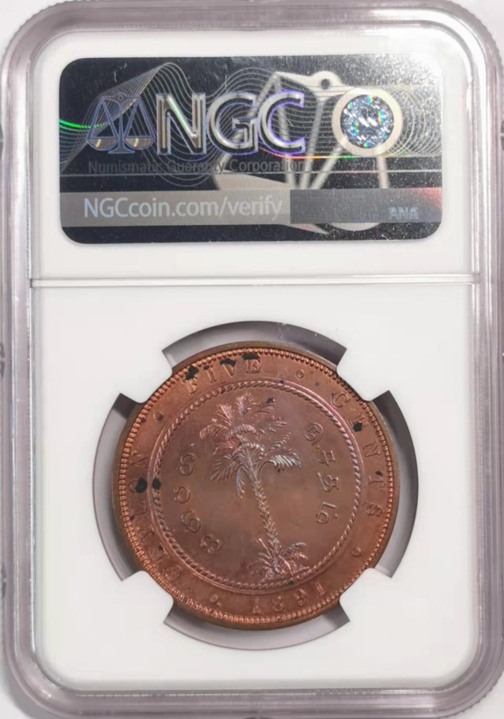 凡希社世界钱币微拍第一百七十九期 稀！1891英属锡兰小维5分大铜精铸NGC-PF62稀有！