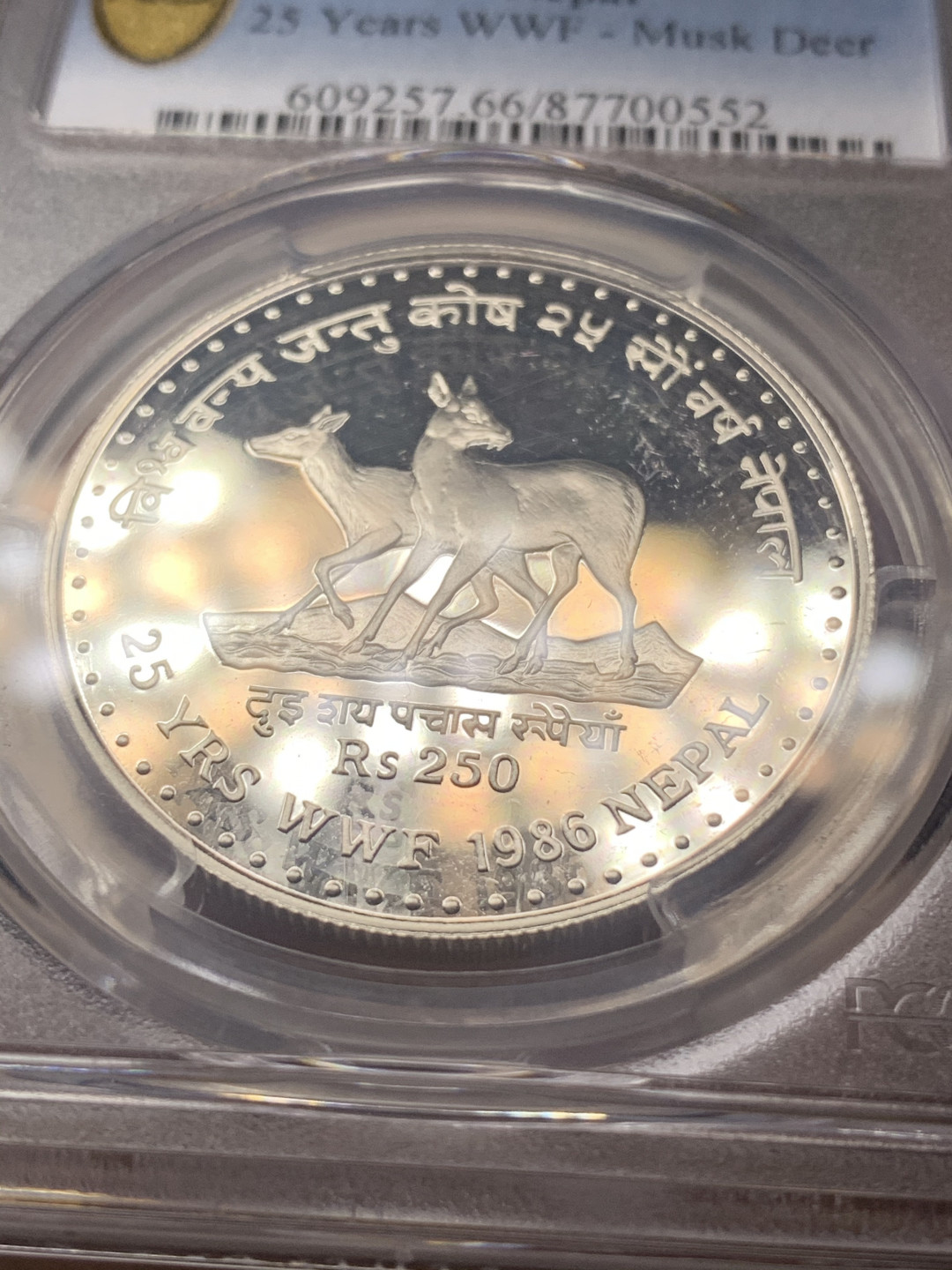 《竞宝斋》钱币微拍-第18场-本周日，周一2场连拍（全场顺丰包邮） PCGS PR66DCAM 尼泊尔1986年250卢比精制银币