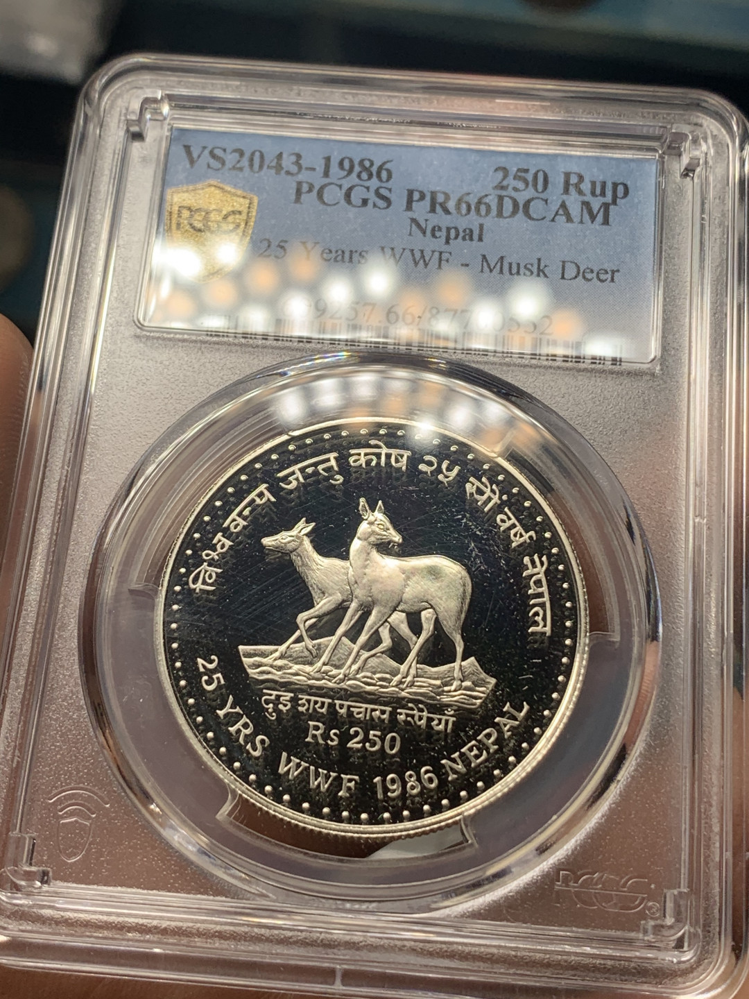 《竞宝斋》钱币微拍-第18场-本周日，周一2场连拍（全场顺丰包邮） PCGS PR66DCAM 尼泊尔1986年250卢比精制银币