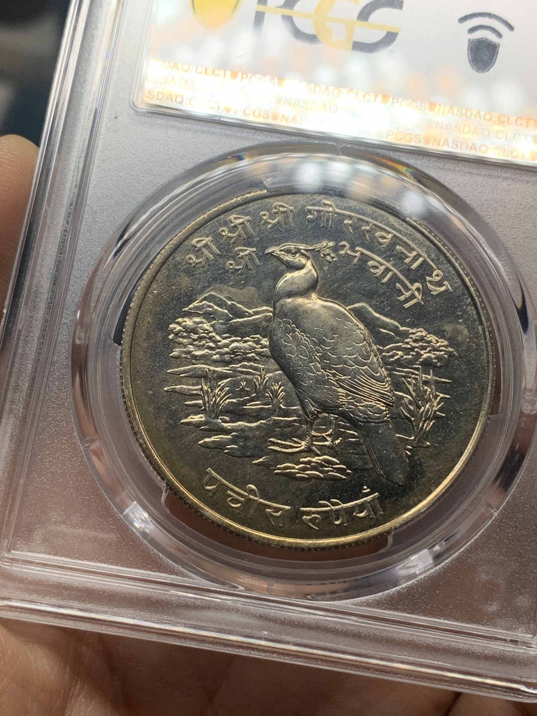 《竞宝斋》钱币微拍-第18场-本周日，周一2场连拍（全场顺丰包邮） PCGS MS63，MS65一对 尼泊尔1974年野生动物-野鸡纪念25卢比银币+红熊猫纪念50卢比银币