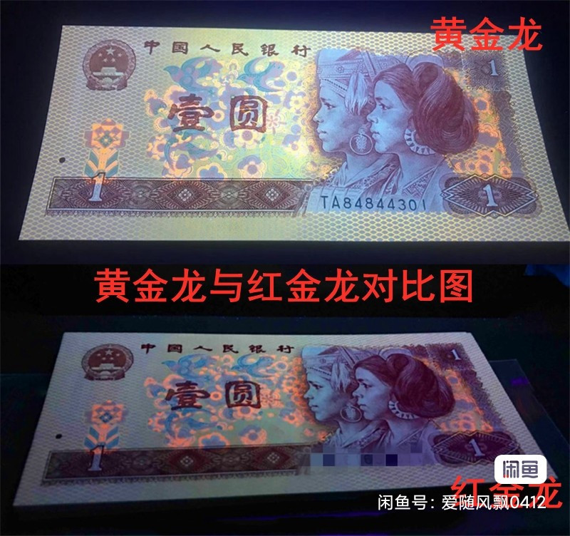 至尊黄金龙顺子号