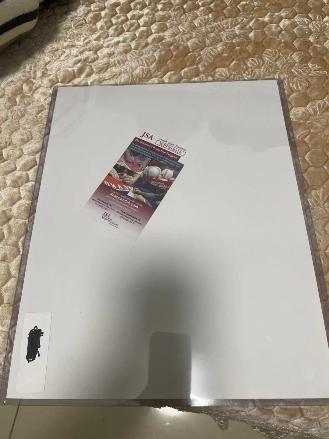 罗德曼14寸签名照片jsa证书