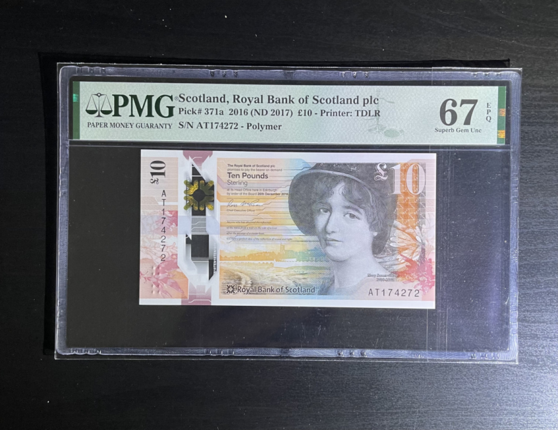 【丑猫1207】今晚8点整，自动快拍！ 苏格兰松鼠