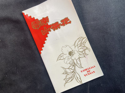 【第3期】莲池国际邮品拍卖-捡漏场 - 【邮折】T37 云南山茶花 邮折 销首日海关戳