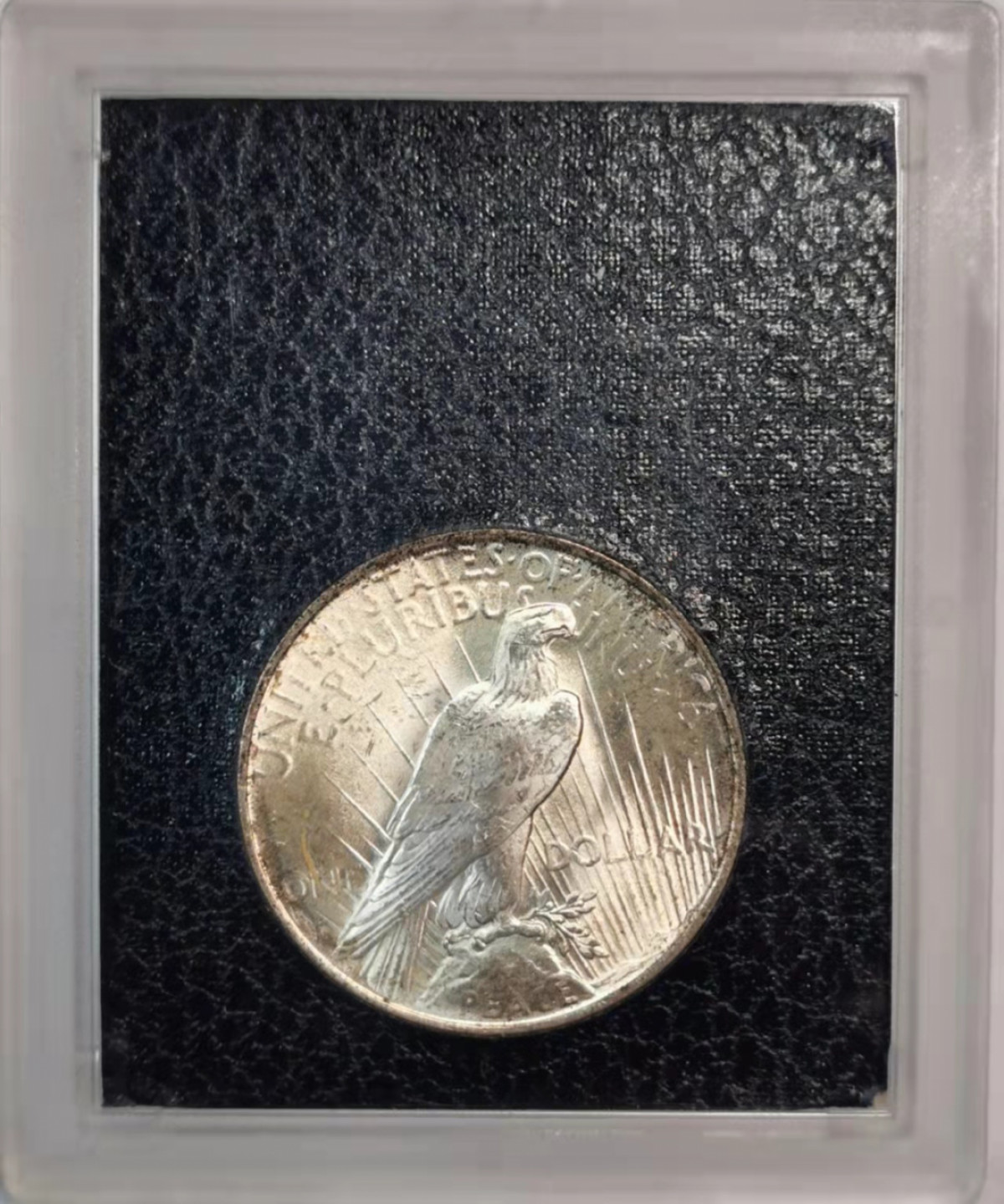 凡希社世界钱币微拍第一百八十期 1924美国和平壹圆卡装UNC