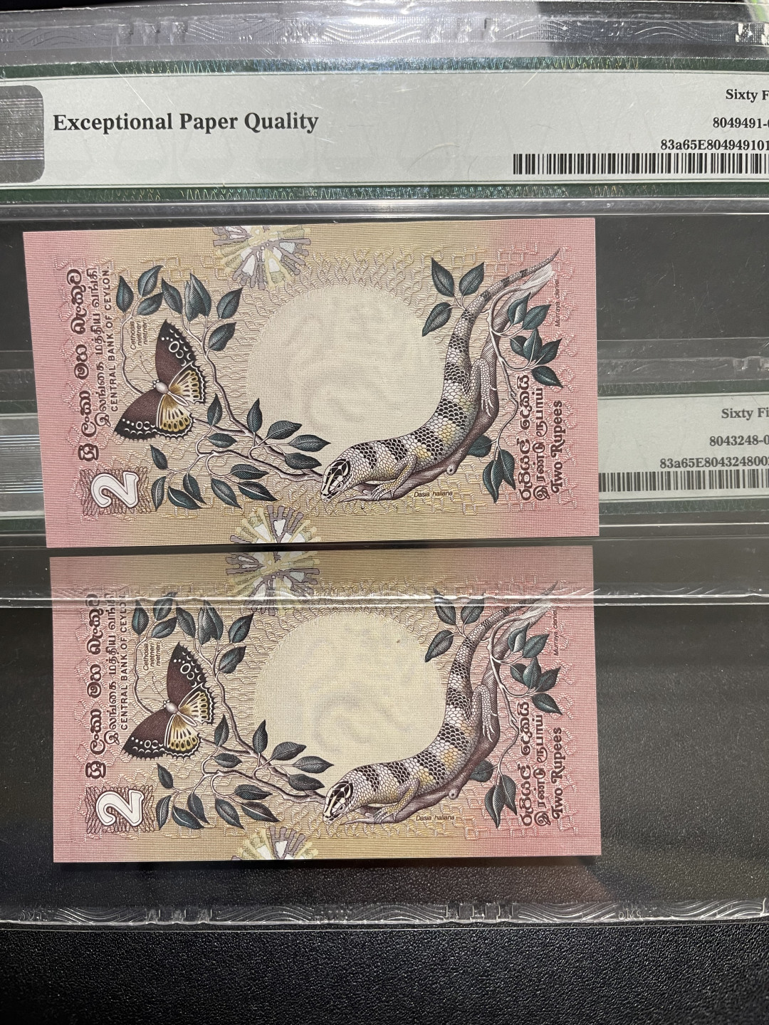 《外钞收藏家》第一百五十二期拍卖（本期98件） 1979年斯里兰卡2卢布 PMG65 两张一起