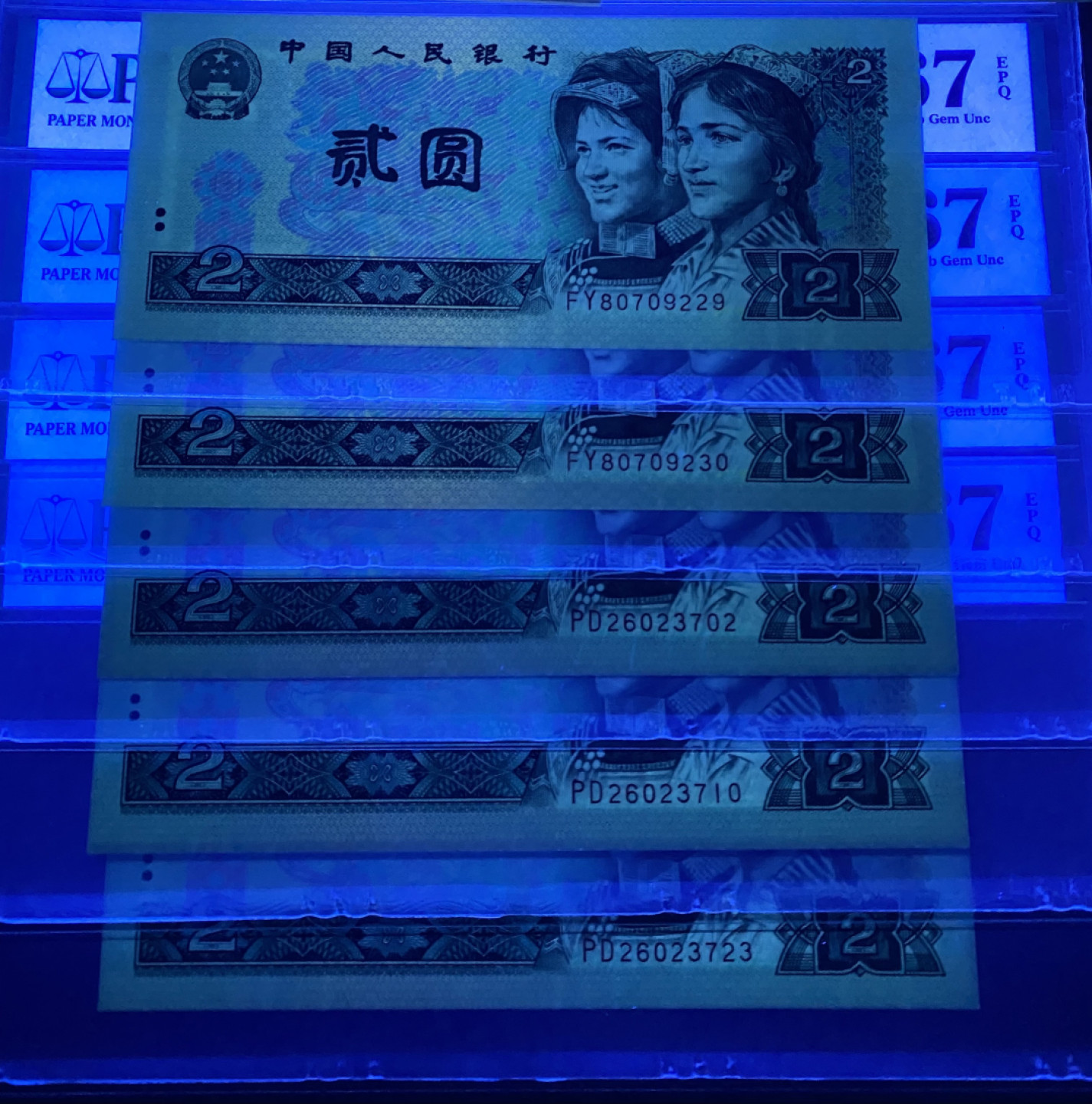 大黄蜂拍卖第33期 902绿幽灵FY➕PD冠号全程无4，67分5张