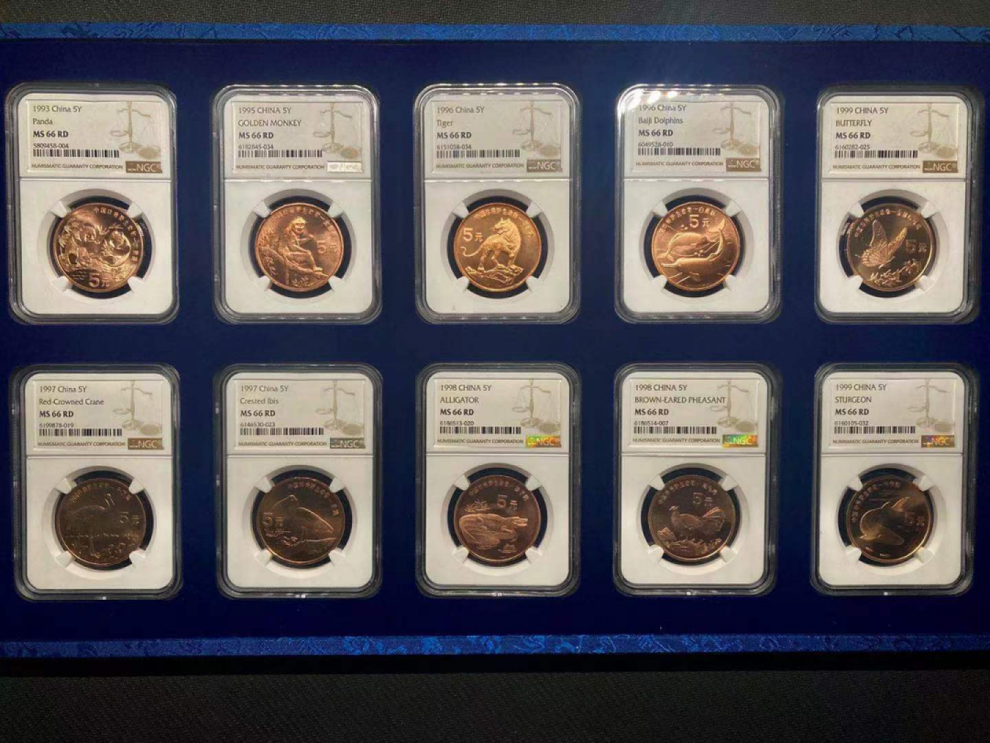 【华誉王者】1862期拍卖 NGC66RD 野生动物十枚一套，发行量 600万。带NGC RD标 原始红色超过95！
