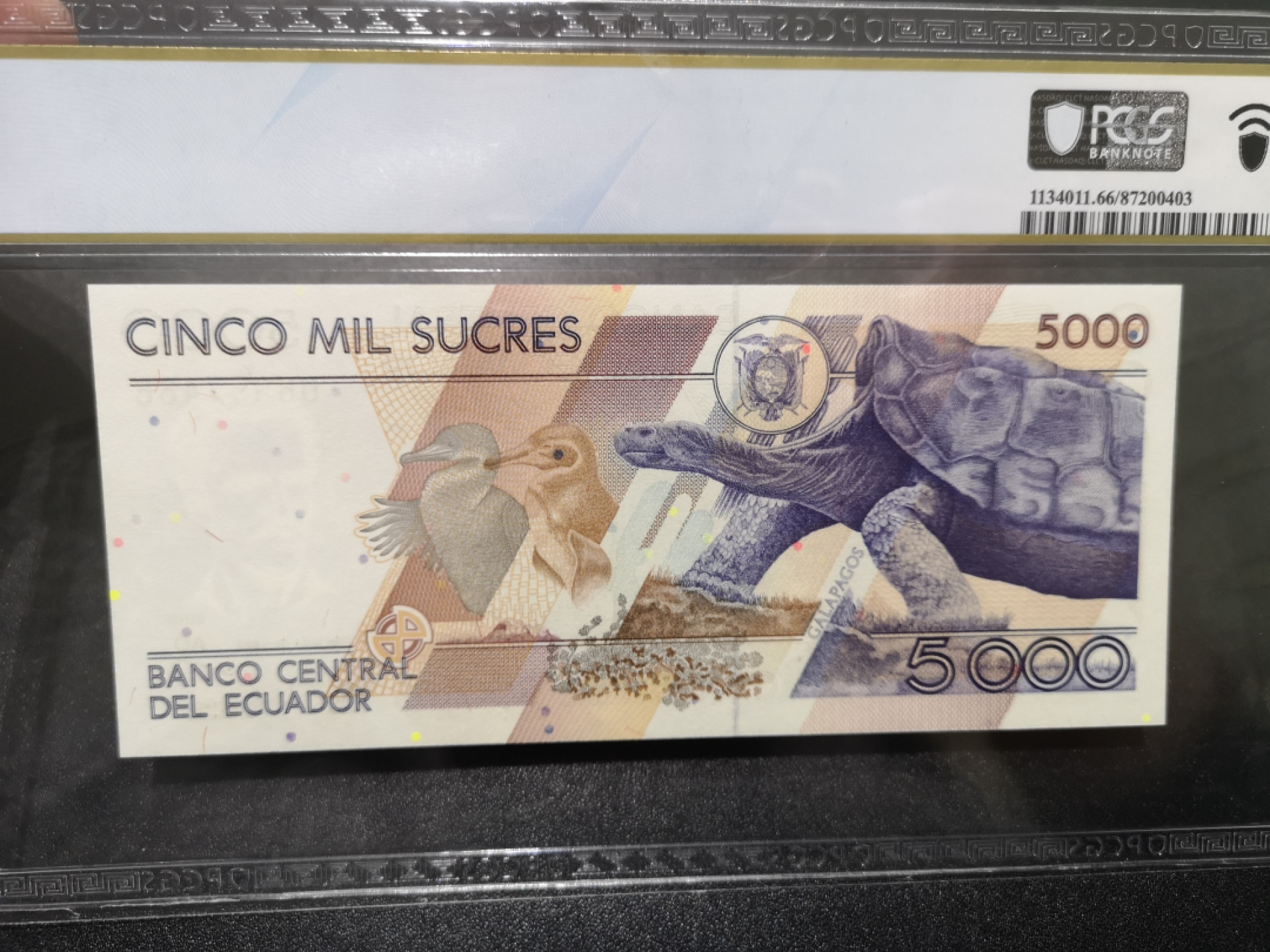 《外钞收藏家》第一百五十三期拍卖（本期94件） 1999年厄瓜多尔5000 PCGS66