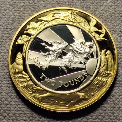 0起1加-纯粹捡漏拍-54场 - 福克兰群岛1999年2镑千禧年精制镀金银币