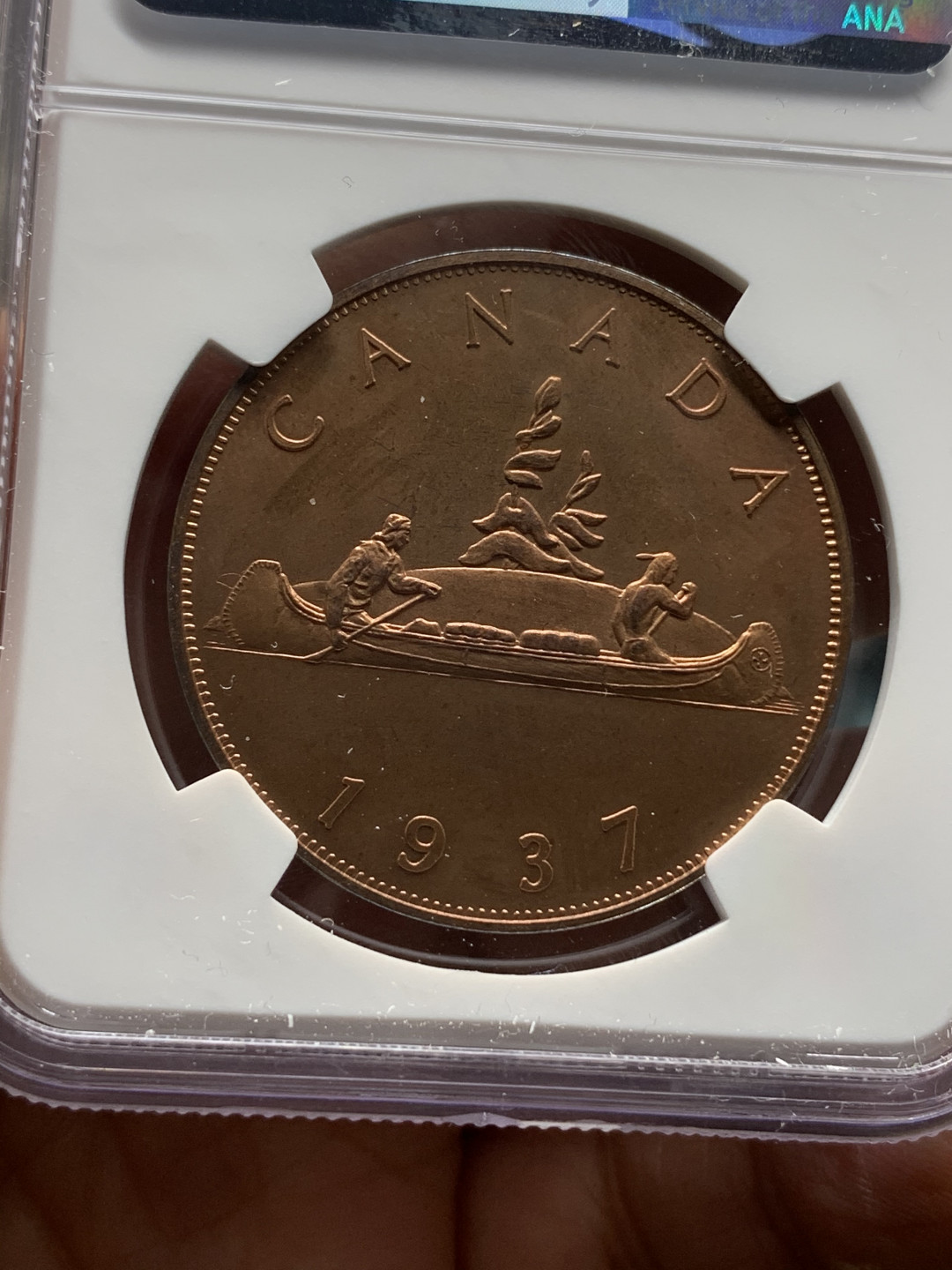 《竞宝斋》钱币微拍-第21场-本周日，周一2场连拍（全场顺丰包邮） NGC-PF66RBCAMEO  1937（2000）后铸爱八加拿大铜币