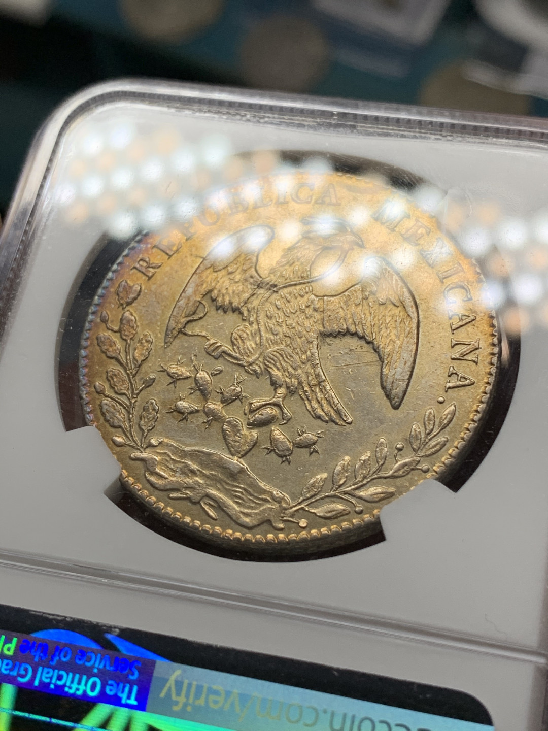 《竞宝斋》钱币微拍-第21场-本周日，周一2场连拍（全场顺丰包邮） NGC-AUD 墨西哥 1878年1877骑字，N没标出来 8 里亚尔  库利亚坎厂  银币  双面黄金包浆C厂中期老鹰 骑字老鹰