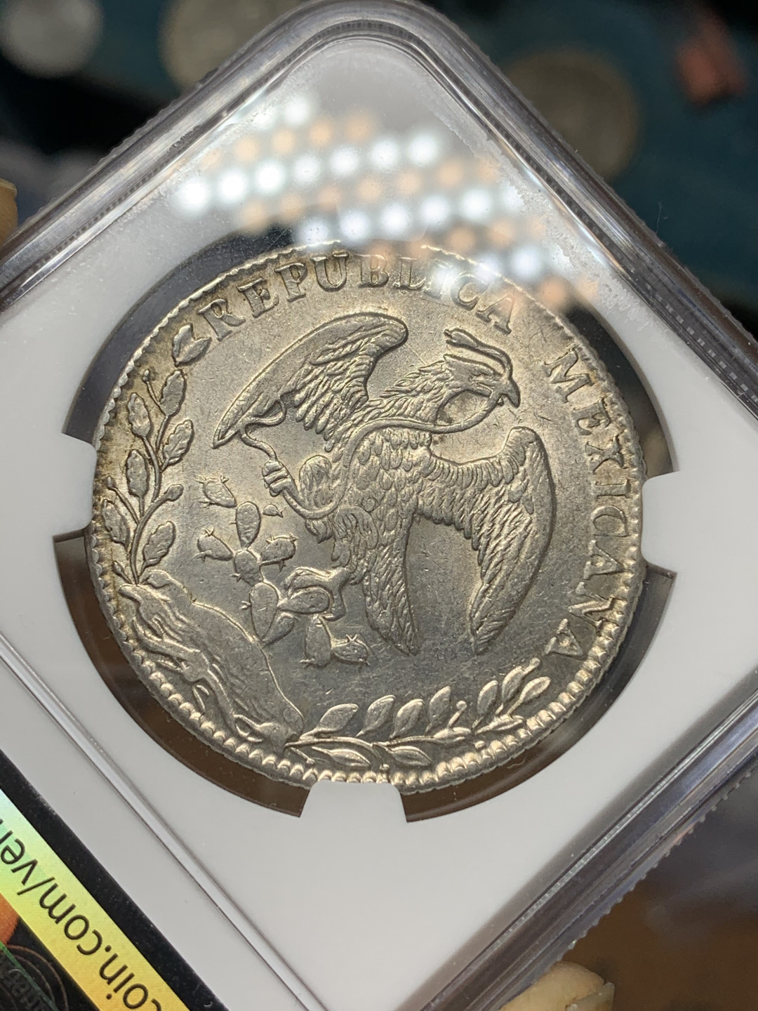 《竞宝斋》钱币微拍-第21场-本周日，周一2场连拍（全场顺丰包邮） NGC-UNCD  墨西哥 1886/76年 8 里亚尔  瓜纳华托厂  银币      淡彩 骑字GO老鹰 