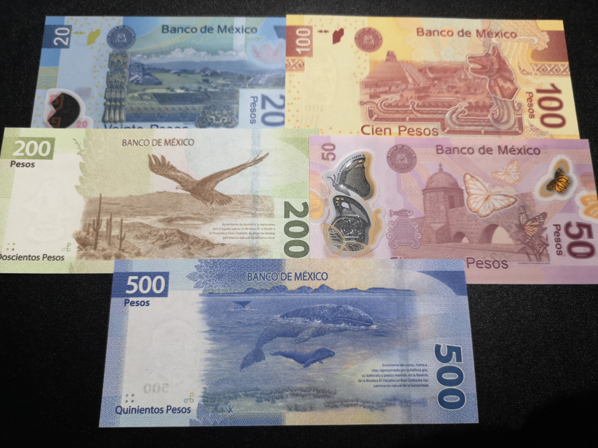 《外钞收藏家》第一百五十五期拍卖 双连拍第二场（本期59件）） 墨西哥一套5张 全新UNC