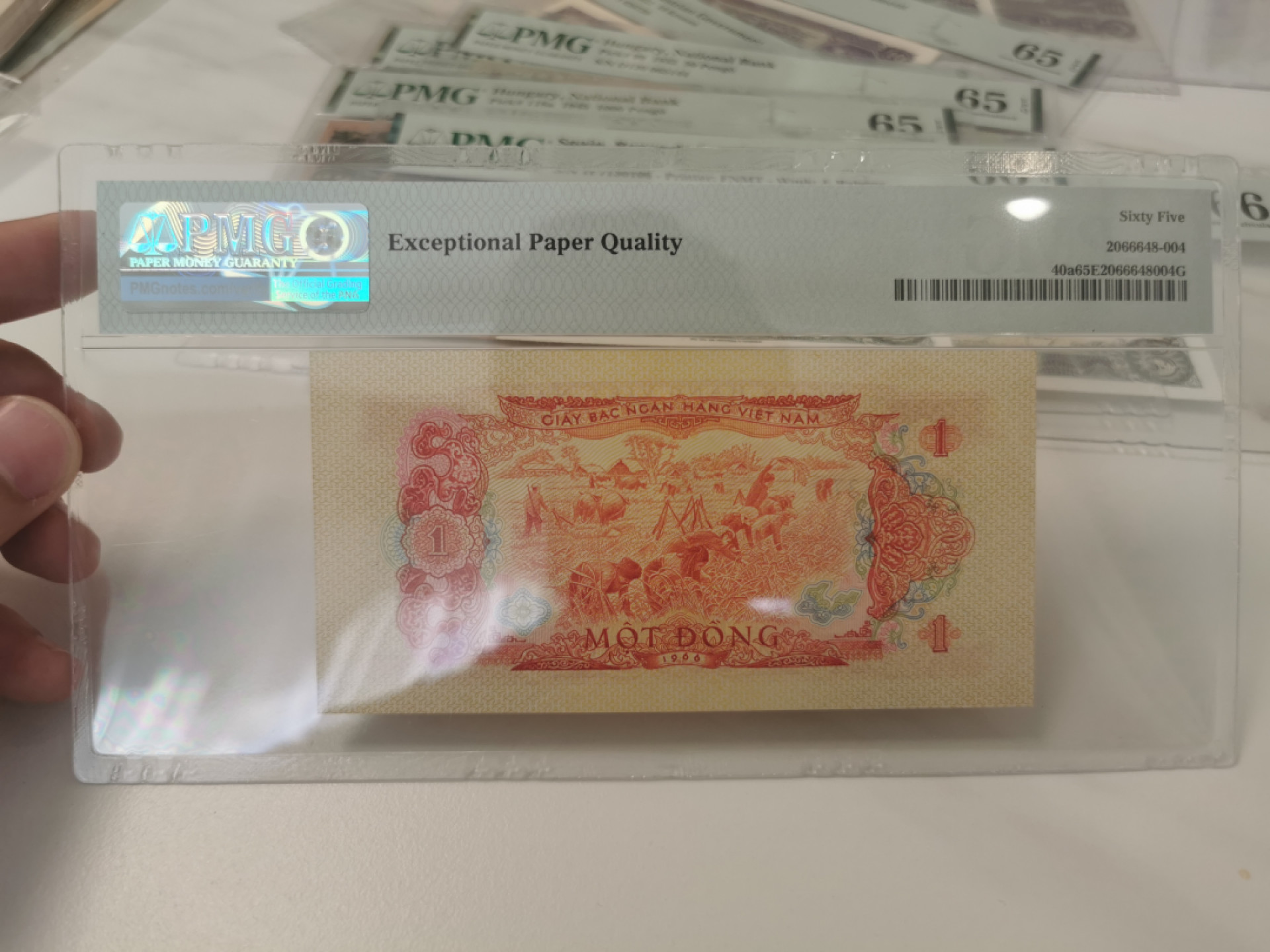 【鲸贝乐淘★叁拍包邮】千字文·第“布射僚丸，嵇琴阮啸”号拍卖 【中国代印★越南🇻🇳】1966年1盾，pMG65E 