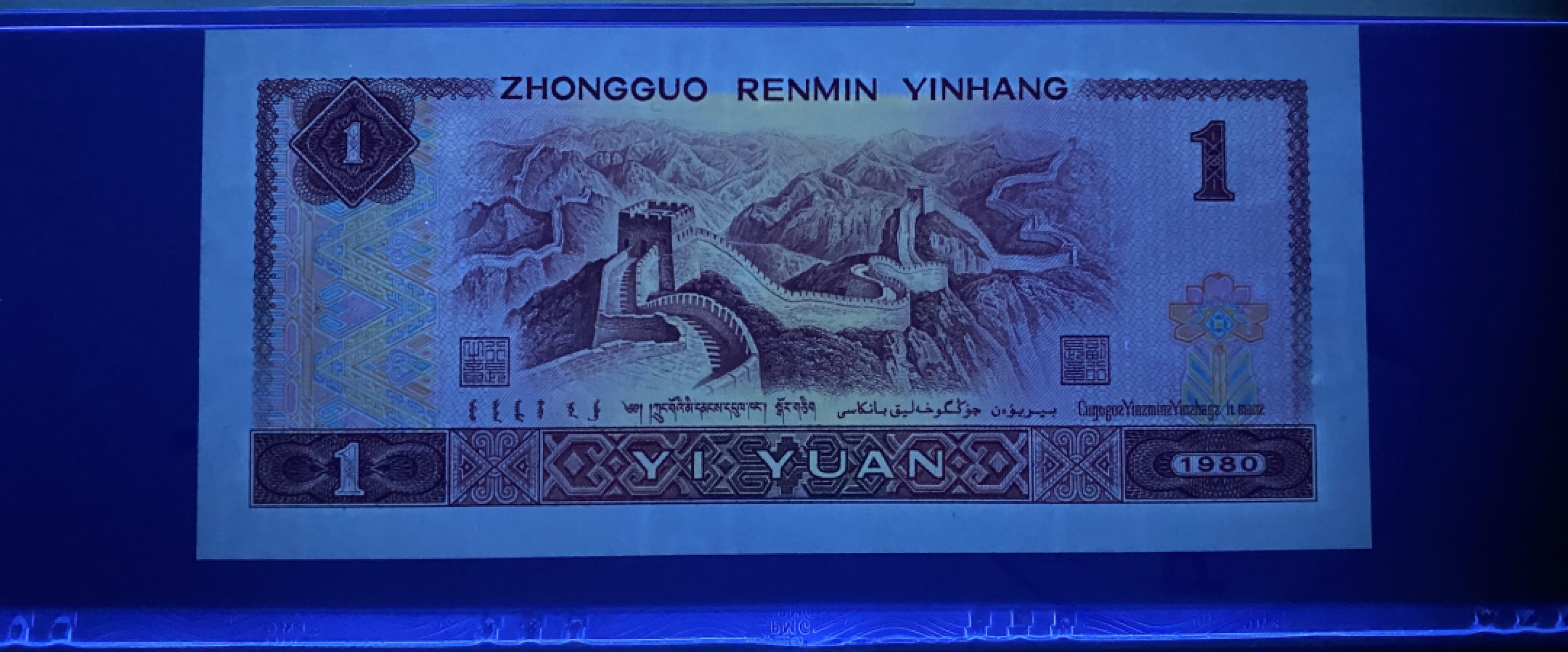 大黄蜂拍卖第36期 801红金龙稀冠TA68912186，68分