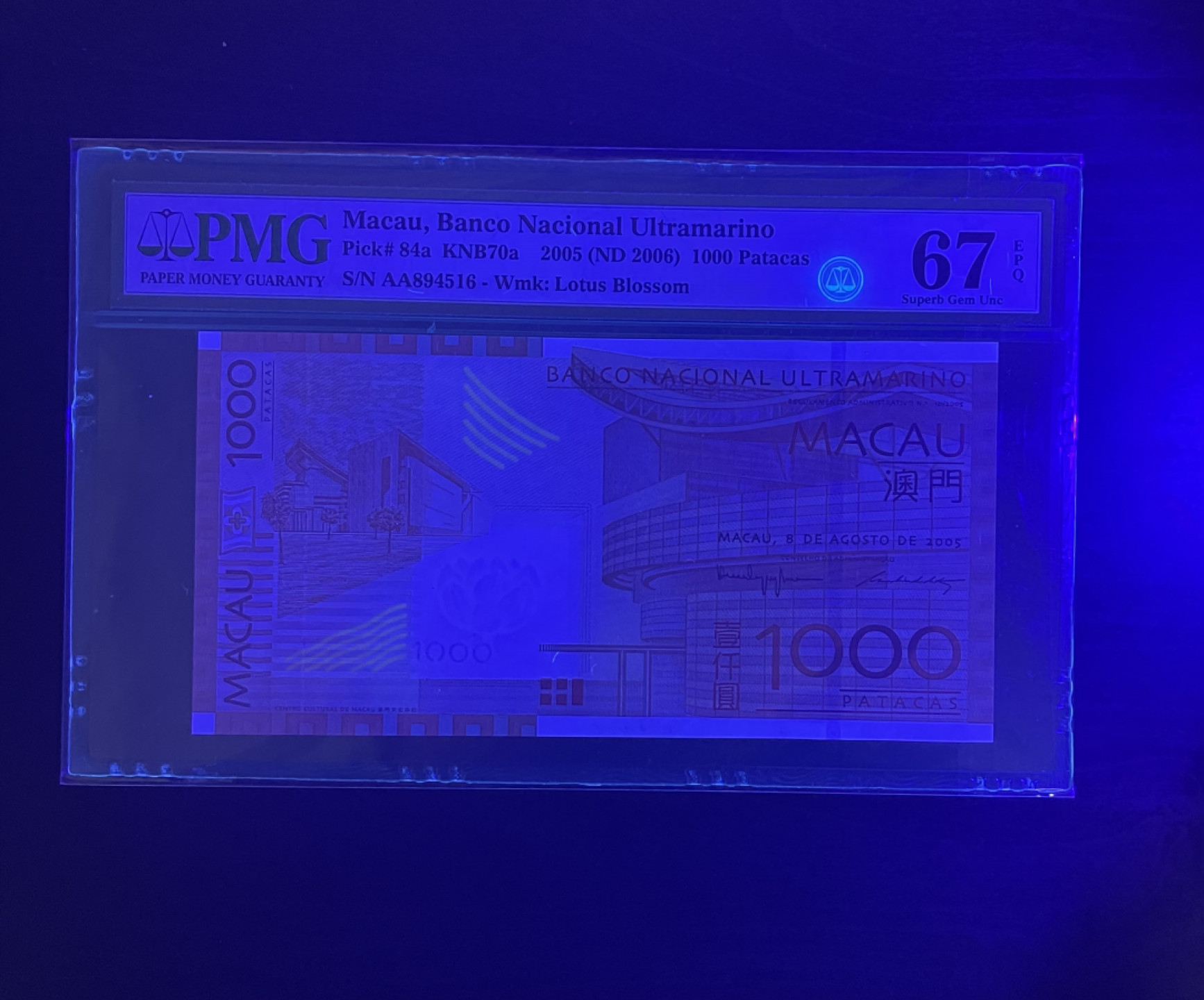 【丑猫1226】今晚7点整，全自动快拍。 2005澳门大西洋首年AA冠