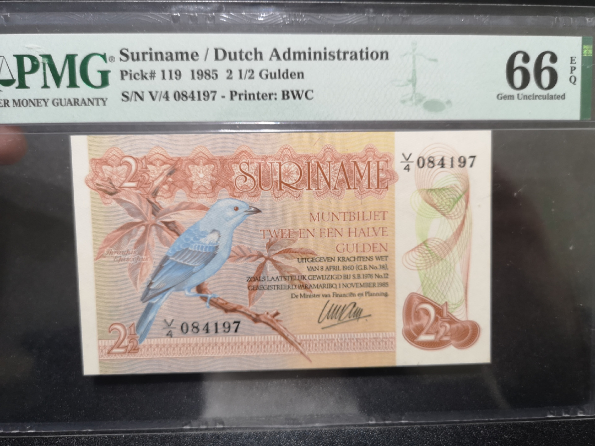 《外钞收藏家》第一百五十七期拍卖（本期62件）（连拍场） 1985年苏里南2 1/2盾 BWC作品 PMG66