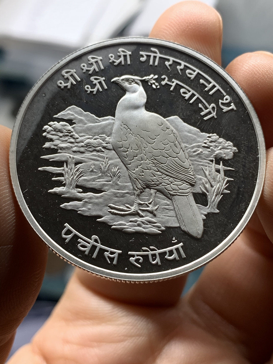 《竞宝斋》钱币微拍-第23场（全场顺丰包邮） 尼泊尔1974年25卢比、50卢比精制大银币一对 925银，重量分别为28.28g、35g，直径分别为38.61mm、42mm，发行量1万1千枚/1万枚。图案主题：珍稀动物野鸡/珍稀动物红熊猫。