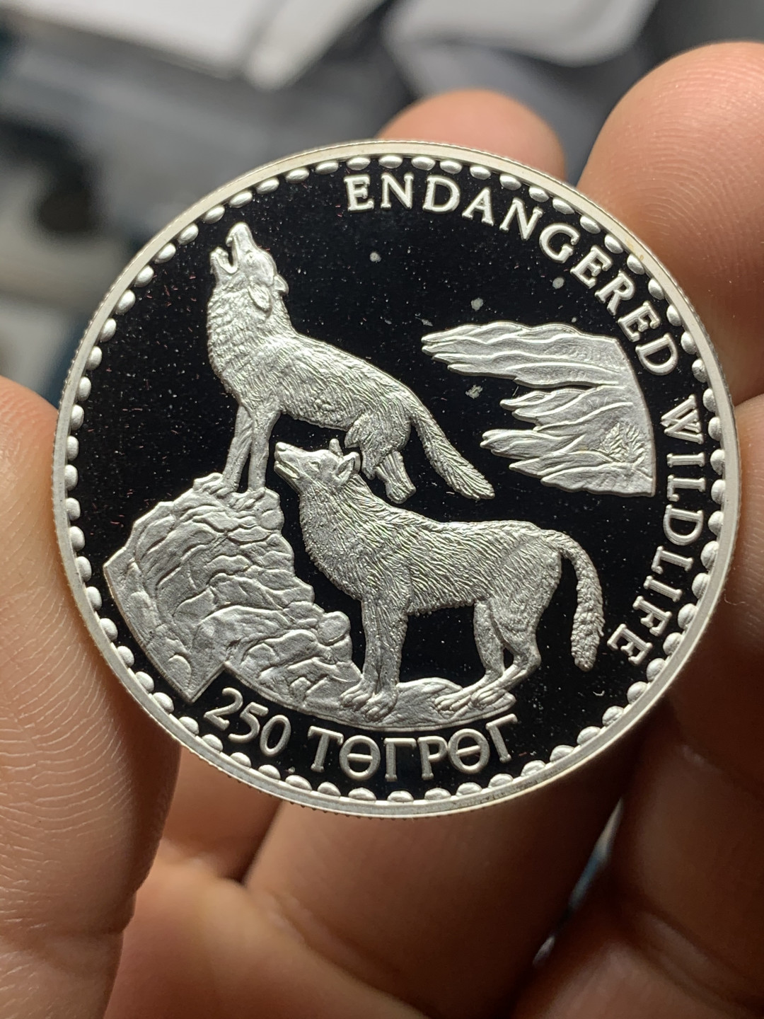 《竞宝斋》钱币微拍-第23场（全场顺丰包邮） 蒙古 1992年 250图格里克动物 草原狼 精制纪念大银币 925银 31.47克