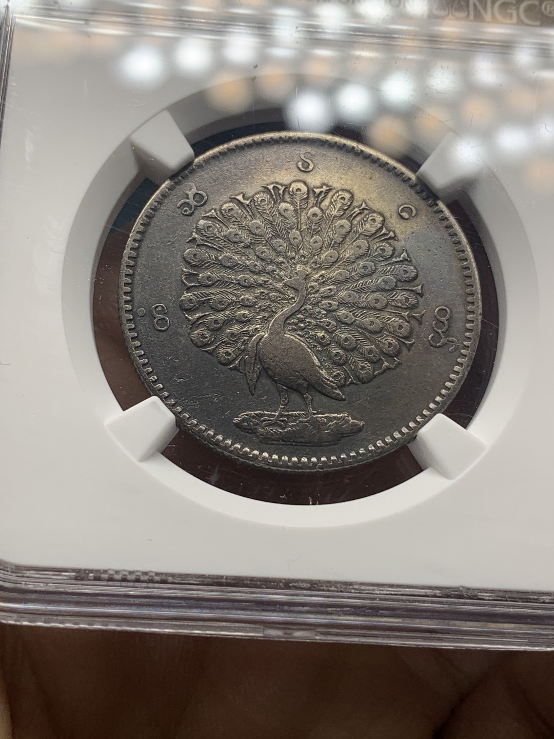 《竞宝斋》钱币微拍-第23场（全场顺丰包邮） NGC-XFD  缅甸孔雀  黑油彩  全毛