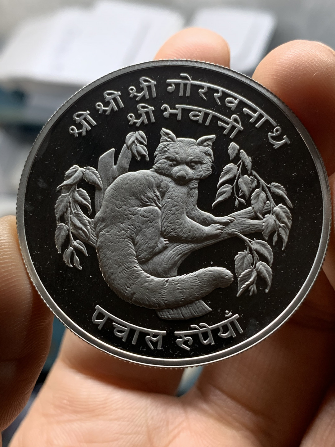 《竞宝斋》钱币微拍-第23场（全场顺丰包邮） 尼泊尔1974年25卢比、50卢比精制大银币一对 925银，重量分别为28.28g、35g，直径分别为38.61mm、42mm，发行量1万1千枚/1万枚。图案主题：珍稀动物野鸡/珍稀动物红熊猫。