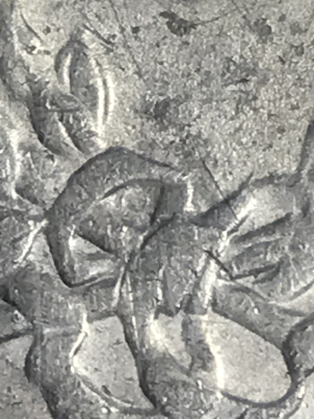 缤纷开心拍415期 P盒浅〇三角圆一枚